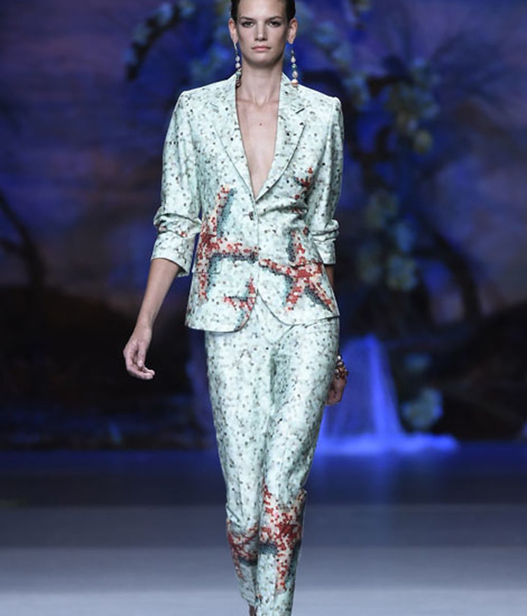 Corales, estrellas y esponjas de mar