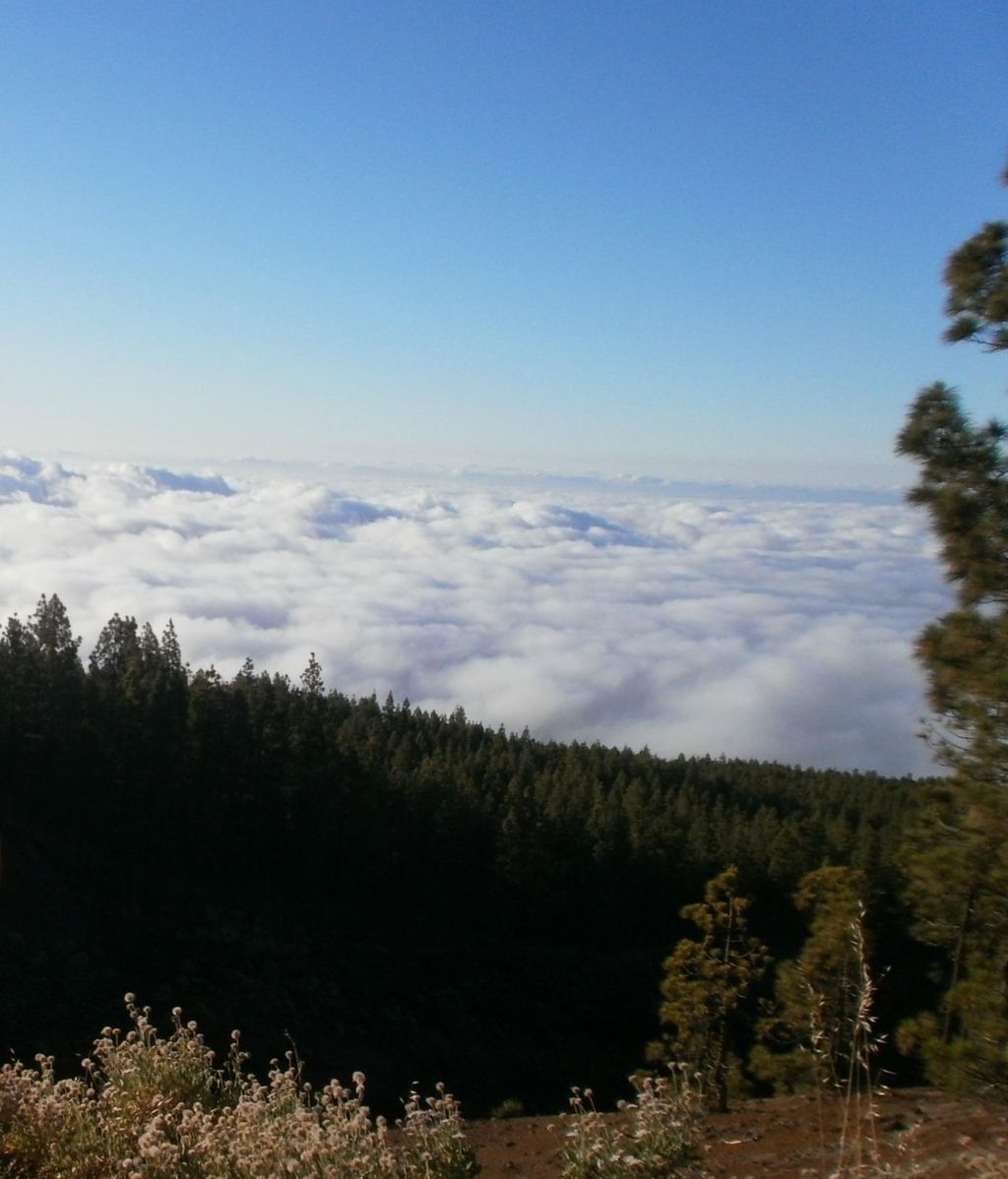 Fotos concurso 'Una imagen, una palabra'