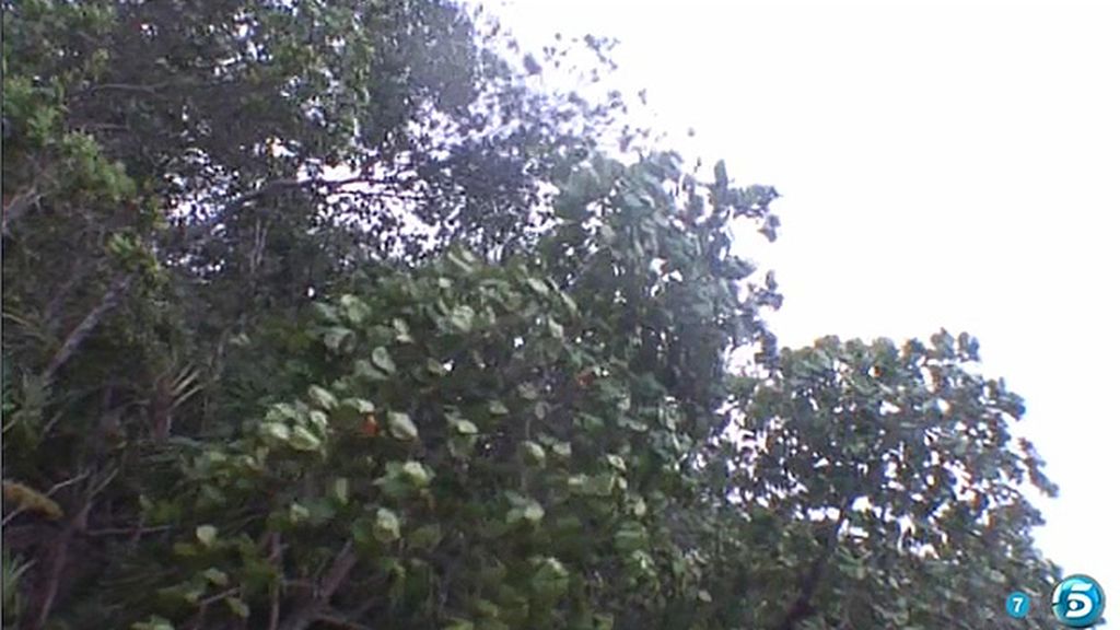 Una barca evacúa a los concursantes de Cayo Paloma