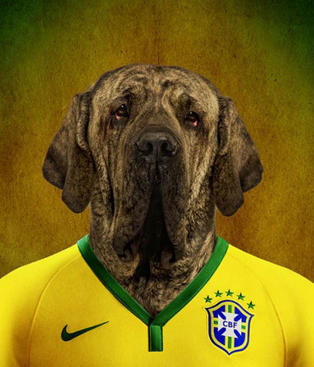 El mastín brasileño