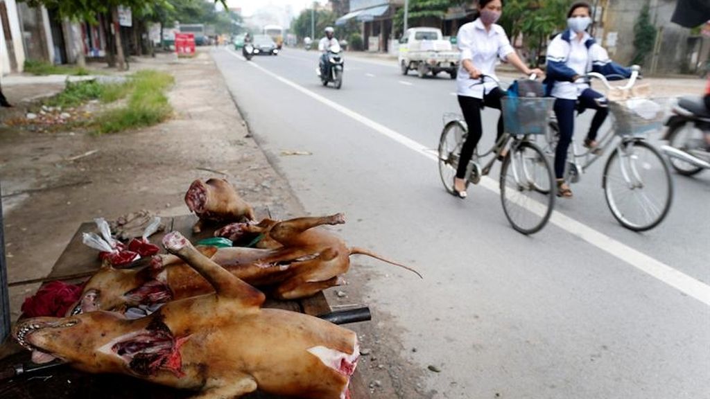 El mejor amigo del hombre sabe a...