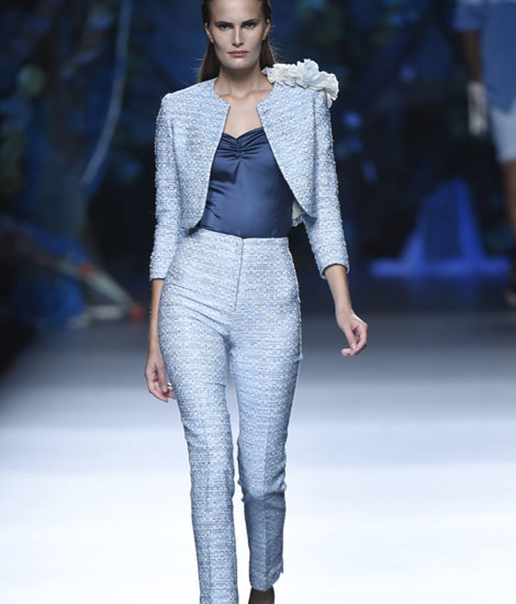 Corales, estrellas y esponjas de mar