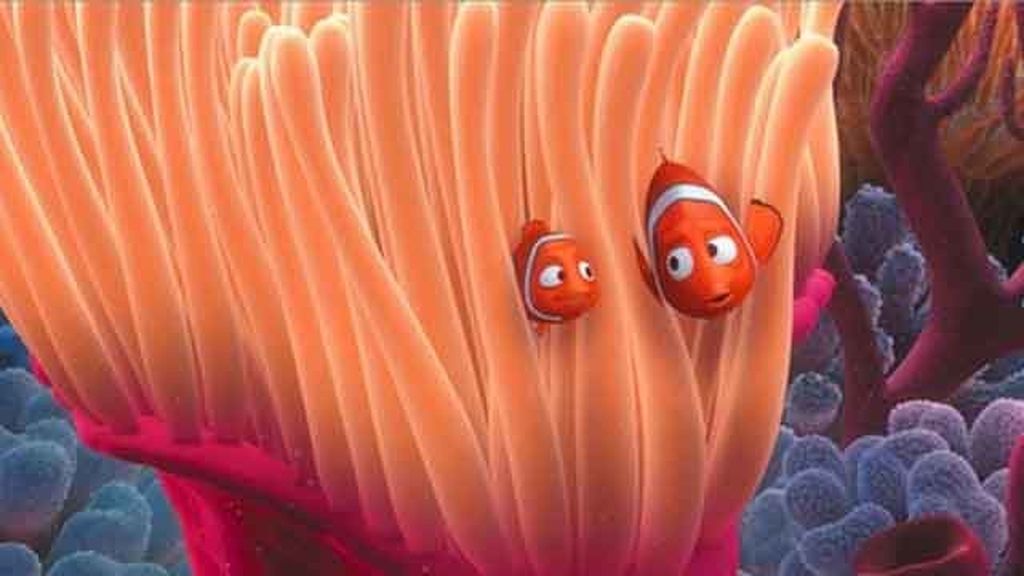 Un fotógrafo, por fin, encuentra a Nemo