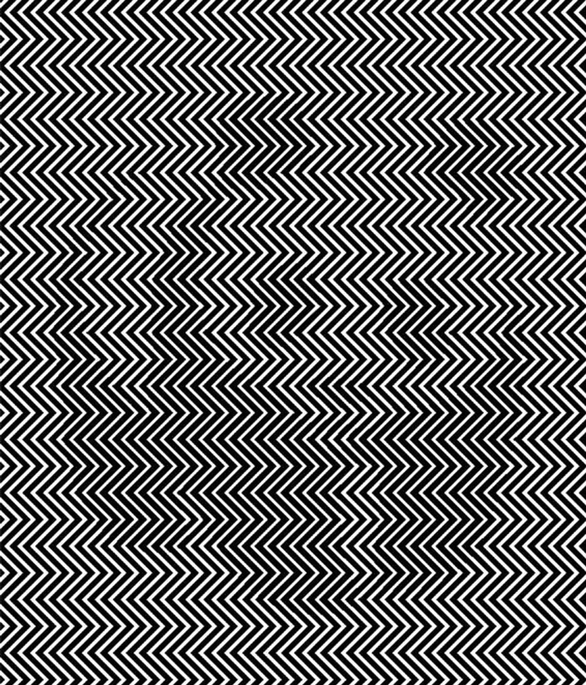 Ilusión óptica con panda de fondo