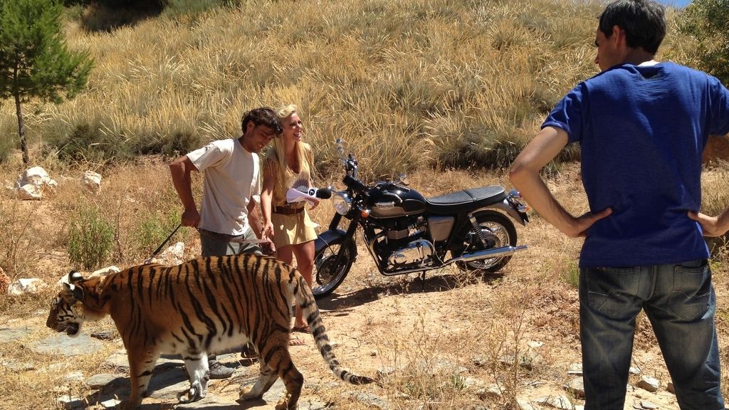 Entre fauna, felinos y... motos