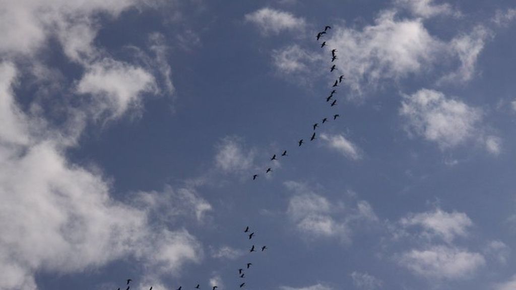 Fotos concurso 'Una imagen, una palabra'