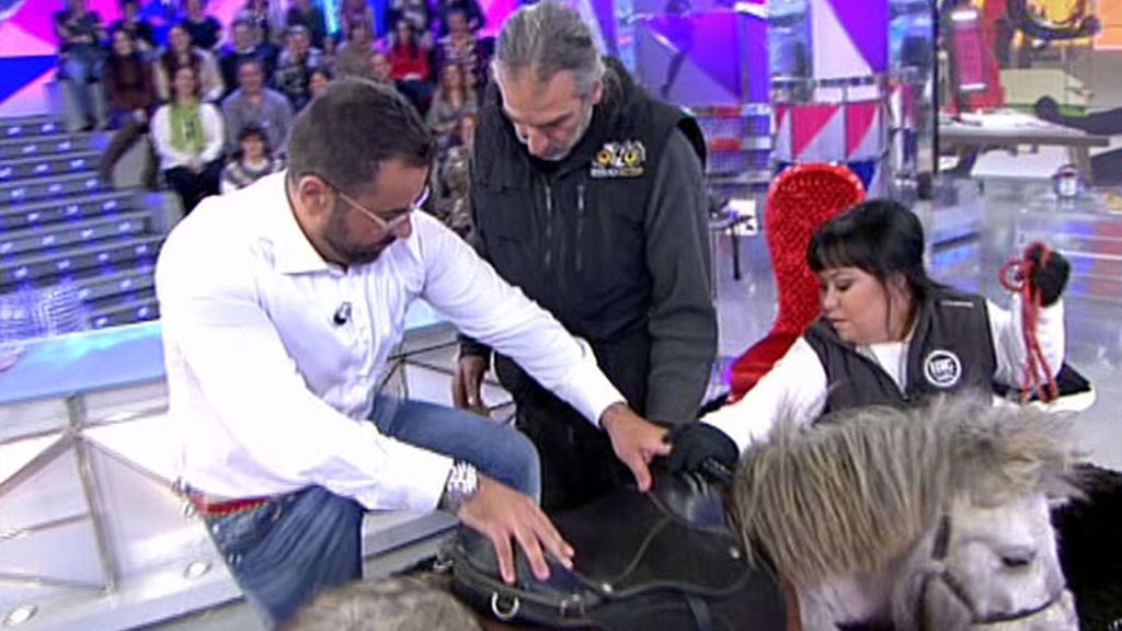 Chiqui entra en plató a lomos de un poni y Jorge Javier le imita