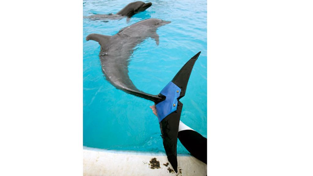 Animales salvados por la ciencia