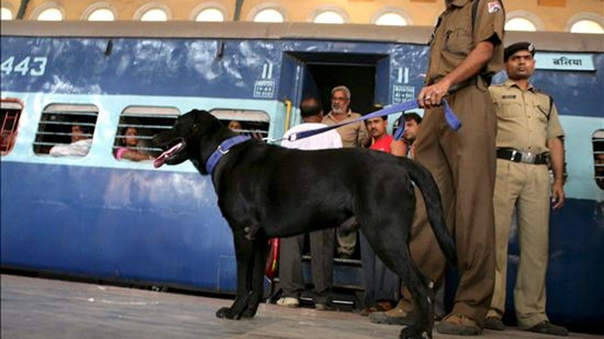 Un miembro de las Fuerzas de Seguridad del Ferrocarril (RFP) patrulla con un perro rastreador en la estación de tren de Sealdha en la ciudad de Calcuta, India, el pasado mes de marzo. EFE/Archivo