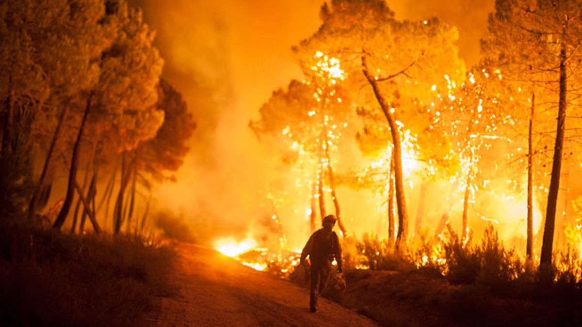Incendio incontrolado en León