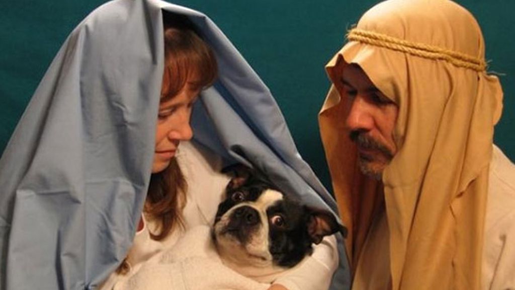 Mi mascota preferida y yo