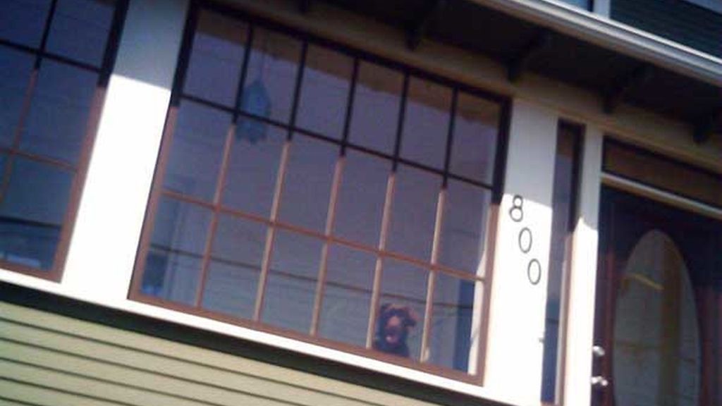 "Esta vez no me pillas"