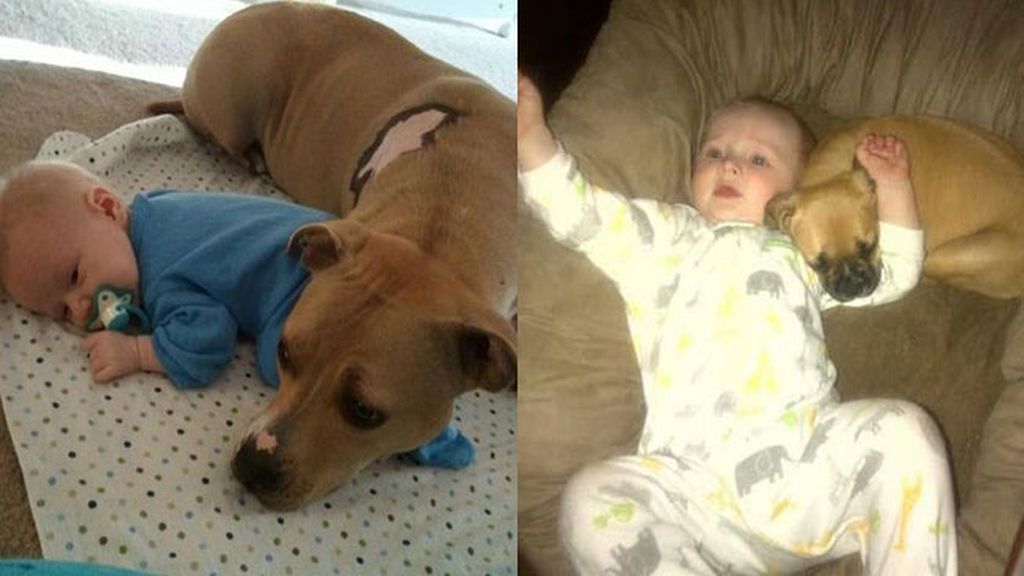 Compañeros para todo