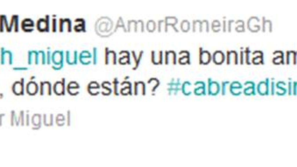 Entre Noe y Pichu, "todo súper bien"