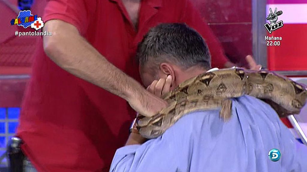 El plató se oscurecía y cuando se hizo la luz, descubrimos que Kiko tenía una serpiente en el cuello