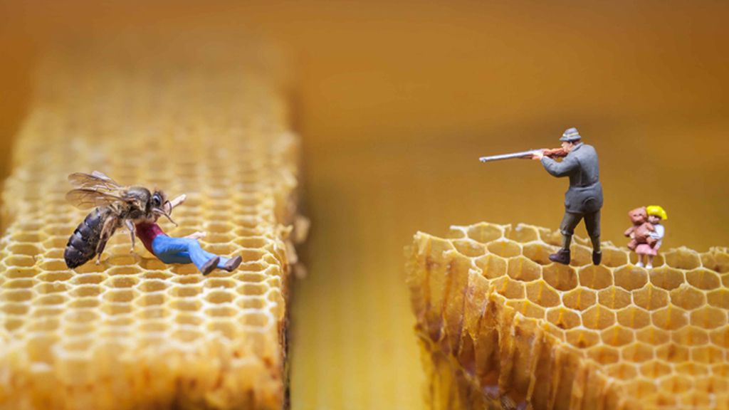 Increibles historias en miniatura