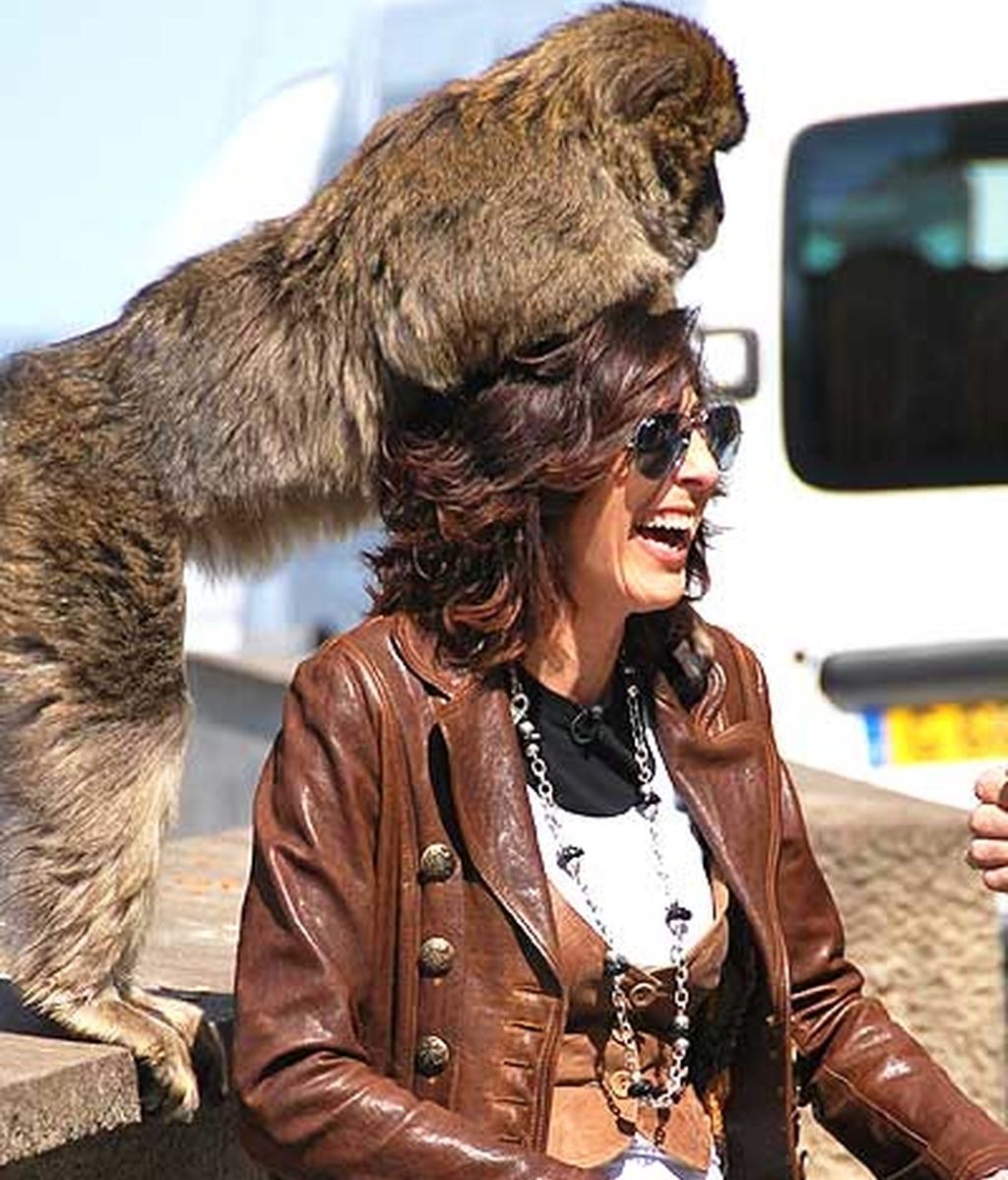 Británicos con deje andaluz