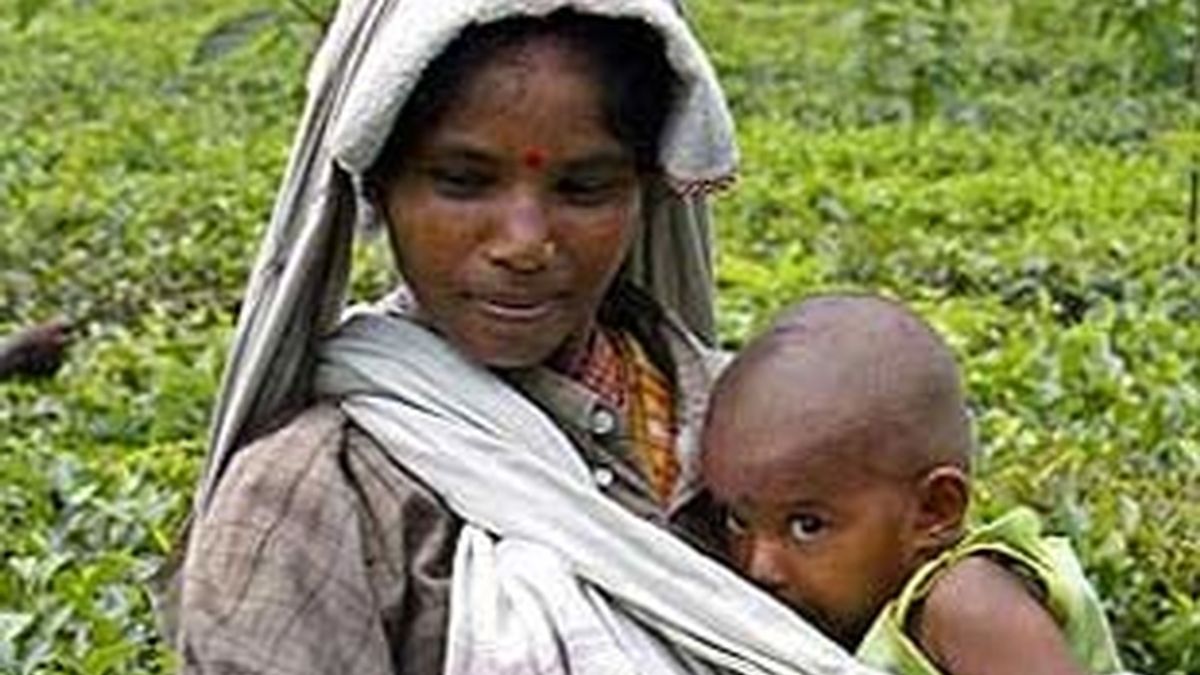 En la India dejaron de nacer 50 millones de niñas en el siglo XX víctimas de abortos.