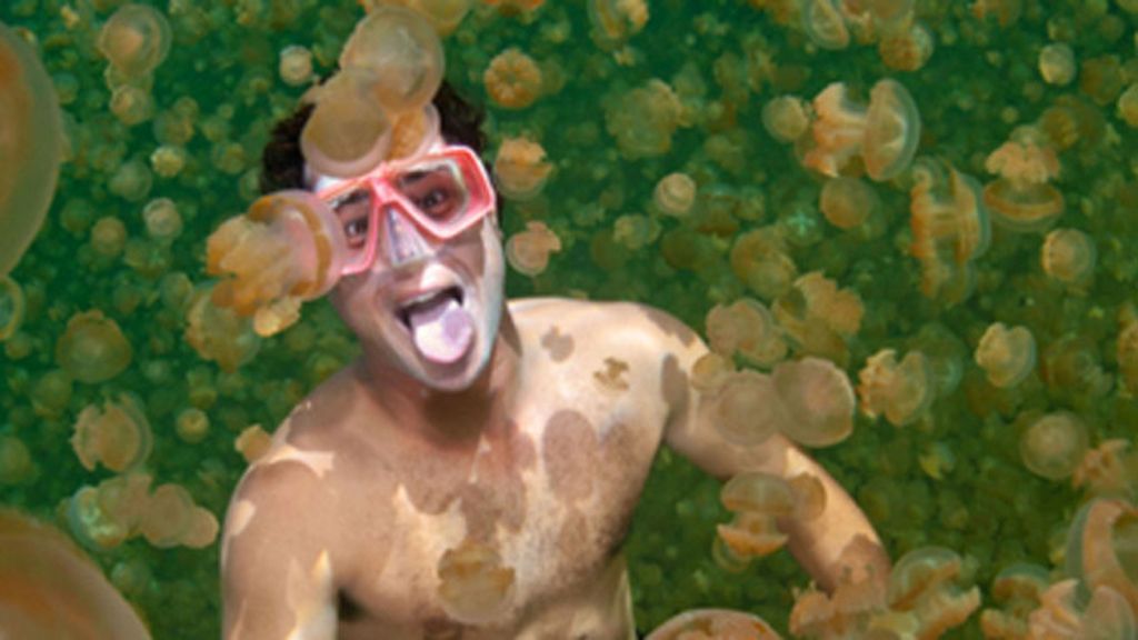 Nadando entre medusas