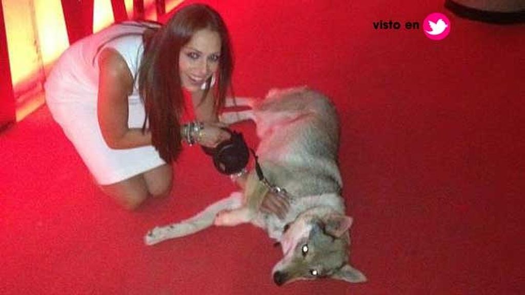 Eva González, amiga de los perros
