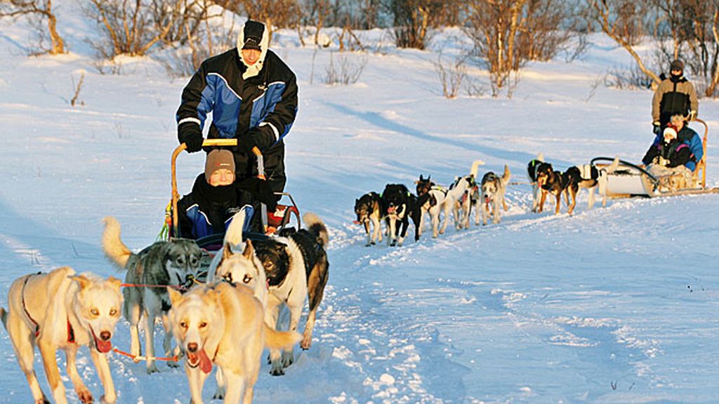 En trineo de perros por el Norte de Noruega