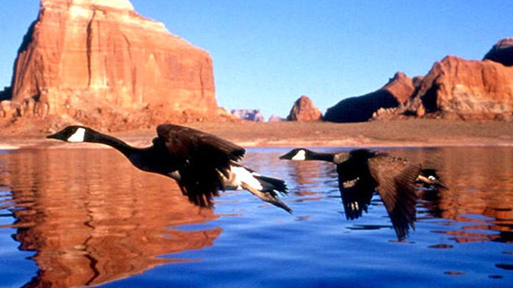 Nómadas del Viento (2001)