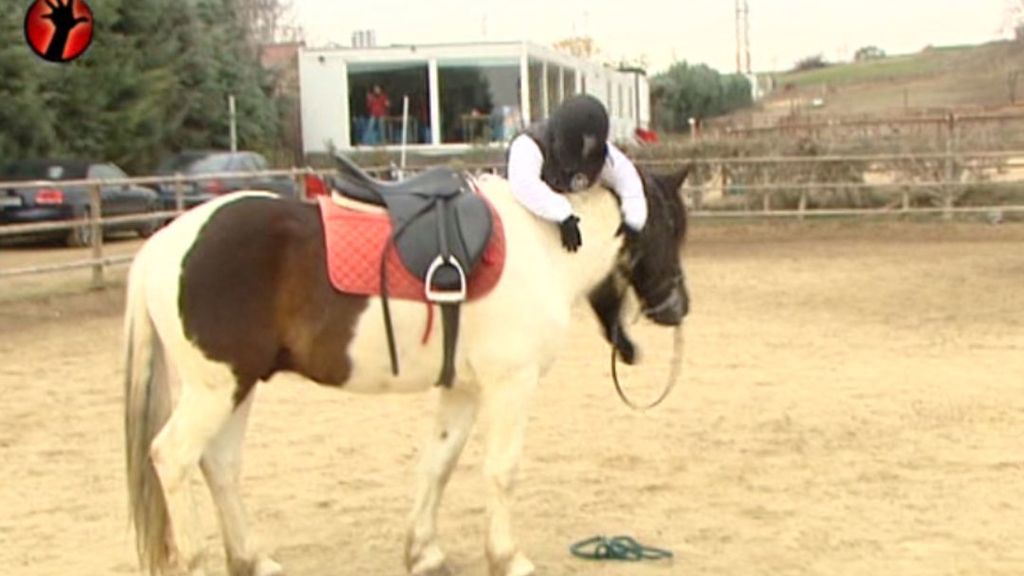 Se cae del animal pero no le puede el miedo y lo vuelve a intentar