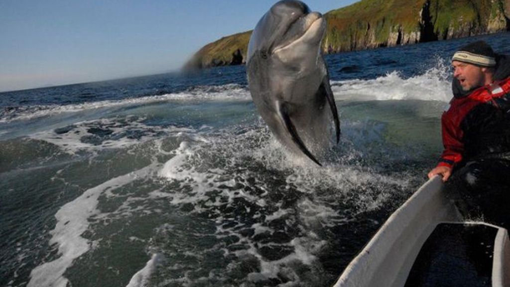 Una foto normal se convierte en una imagen increíble gracias a un ‘intruso’