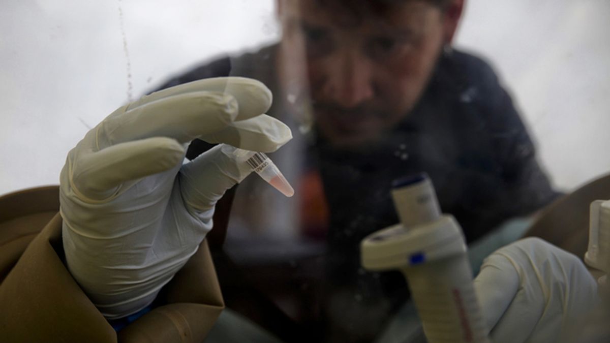 Investigadores europeas luchan contra el virus del ébola en África central.