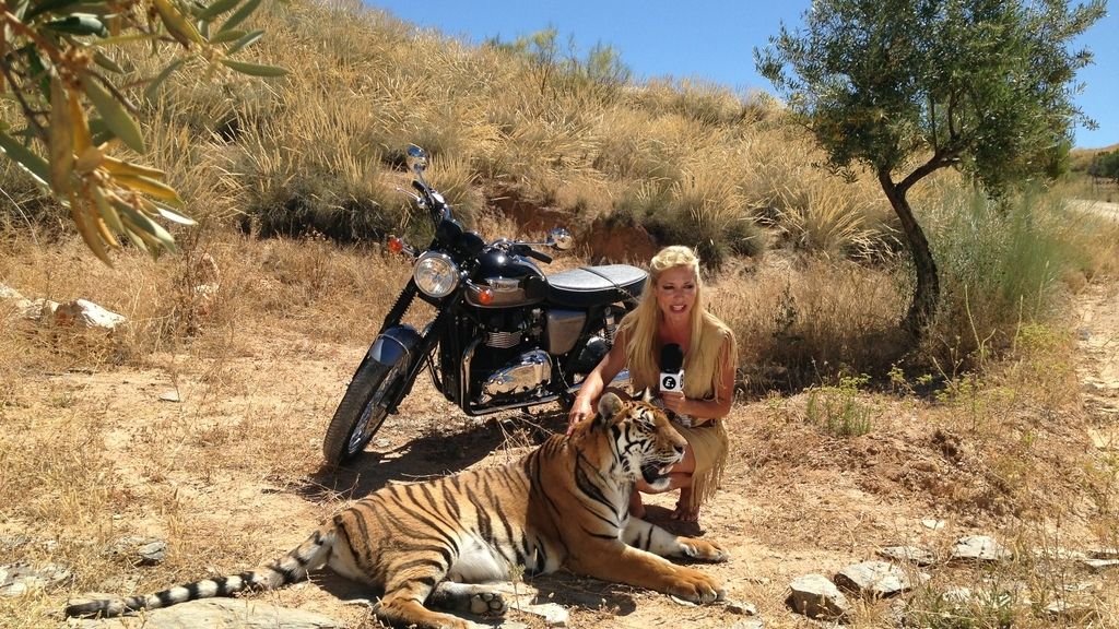 Entre fauna, felinos y... motos