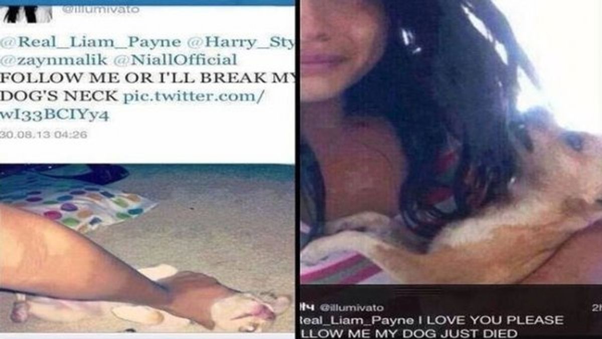 Mata a su perro porque One Direction no la siguió en Twitter