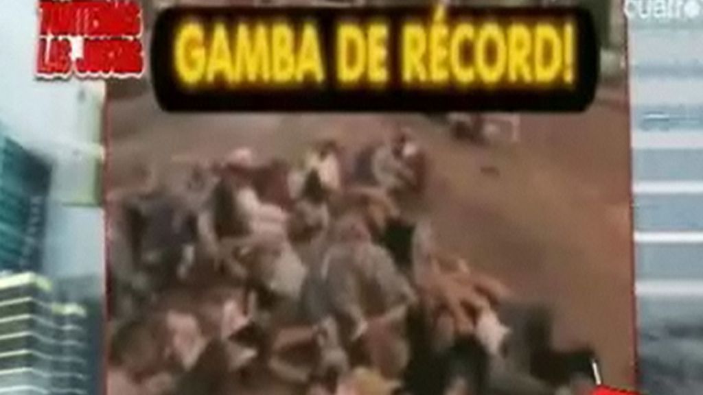 'Gamba' en Navarra: 100 personas