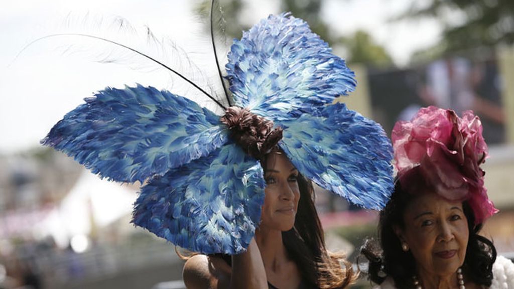 Los caballos, un pretexto para mostrarlos