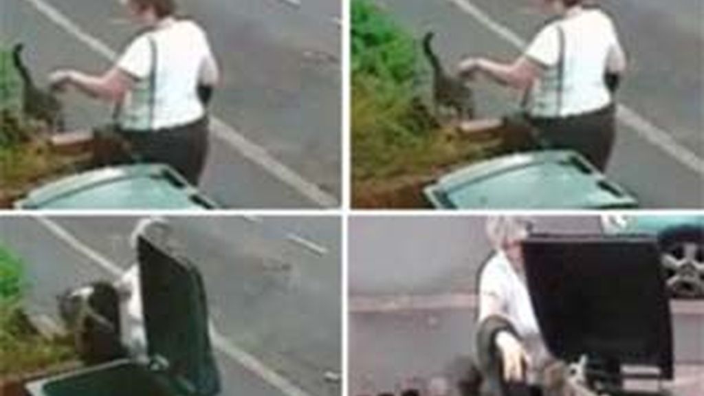 En el vídeo se ve a la mujer tirando al gato en el contenedor. Vídeo: Informativos Telecinco