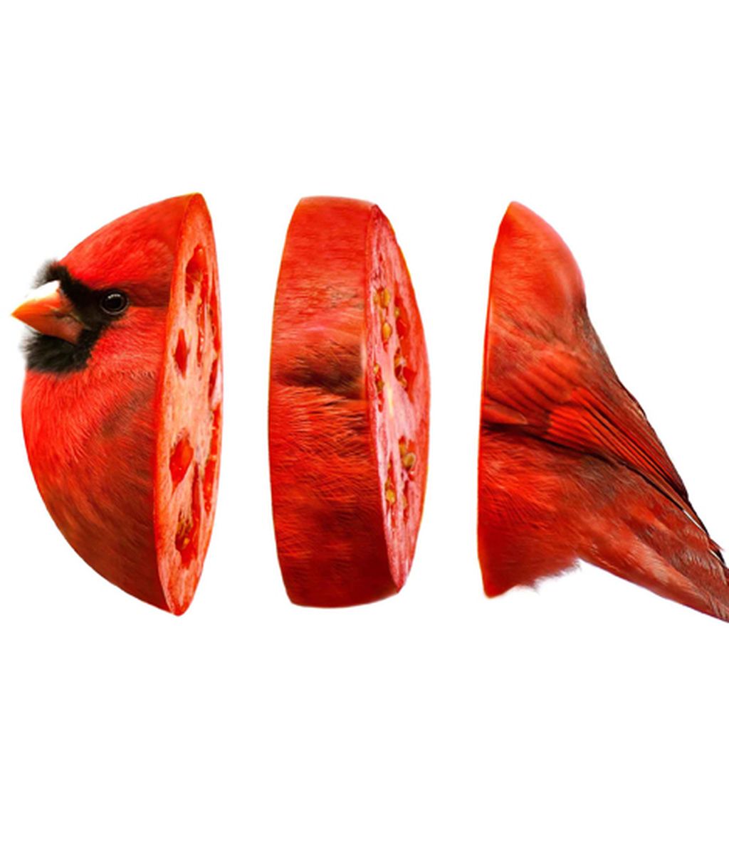 Animales convertidos en frutas y verduras