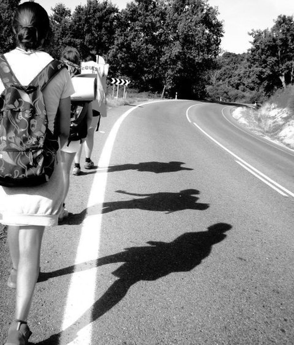 Cocursantes Efecto ¡GUAU!... de tu vida