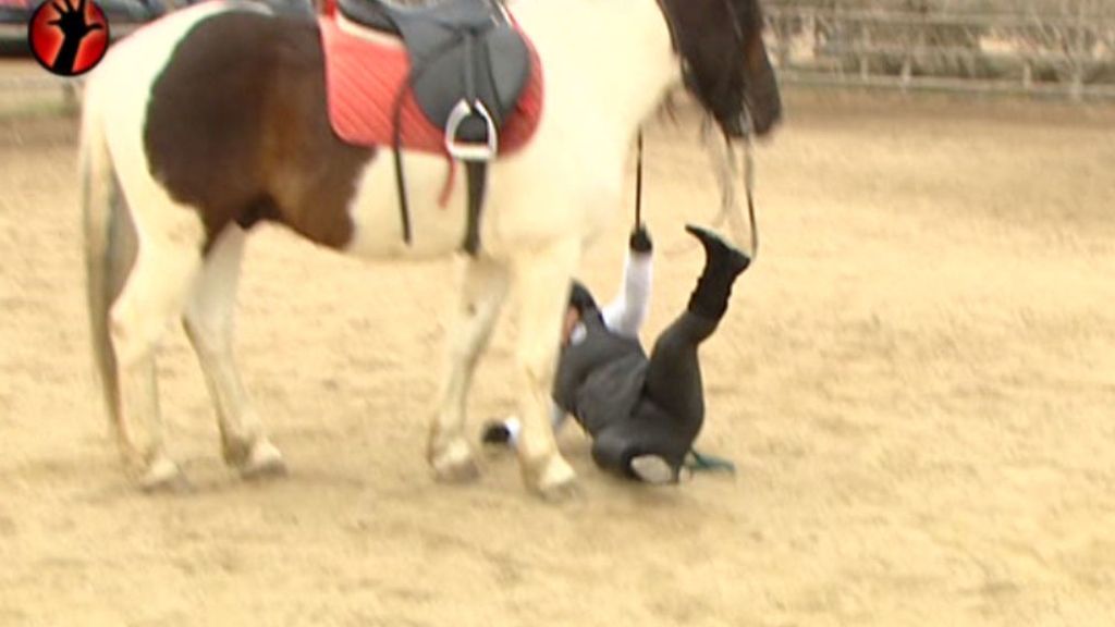 Se cae del animal pero no le puede el miedo y lo vuelve a intentar