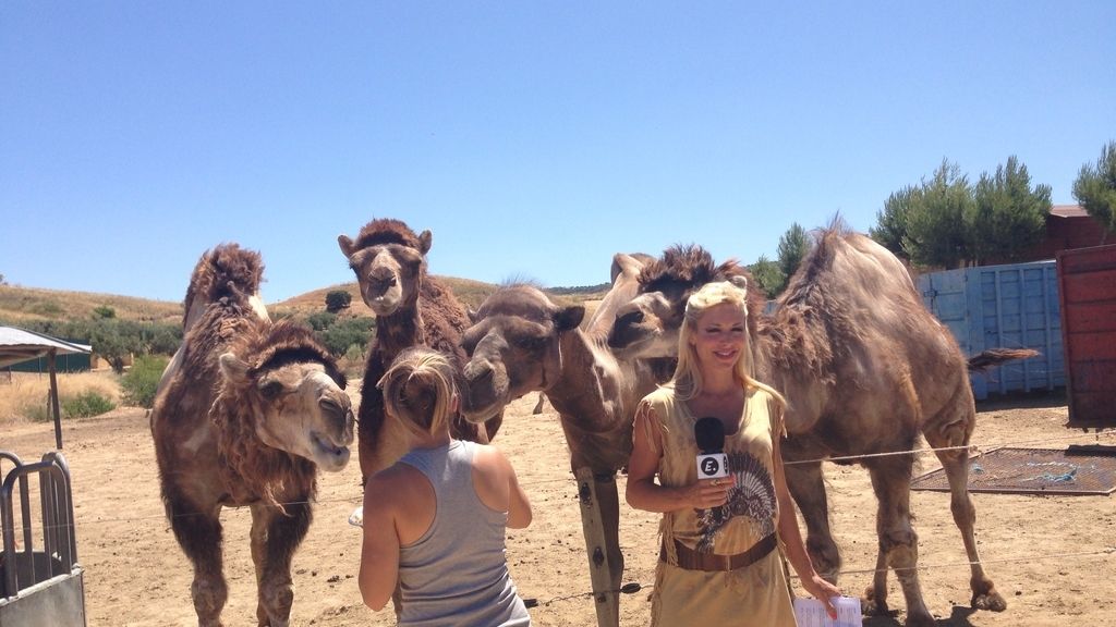 Entre fauna, felinos y... motos