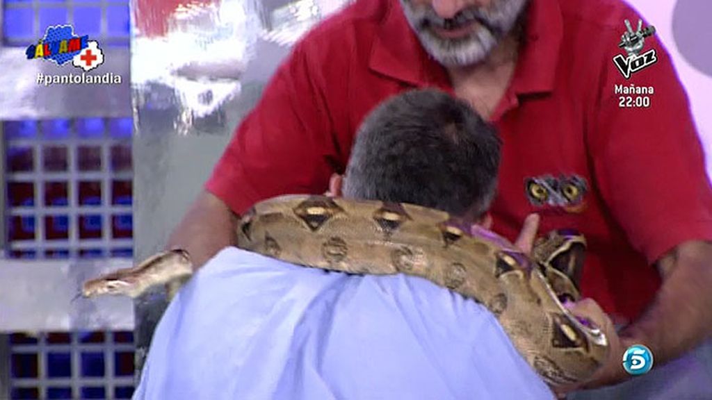 El plató se oscurecía y cuando se hizo la luz, descubrimos que Kiko tenía una serpiente en el cuello