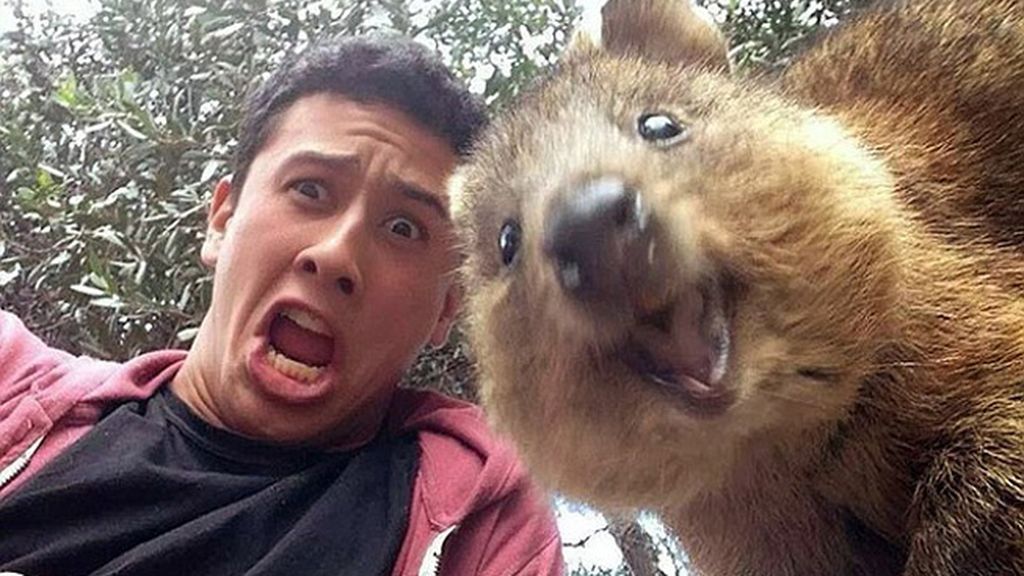 Una foto normal se convierte en una imagen increíble gracias a un ‘intruso’