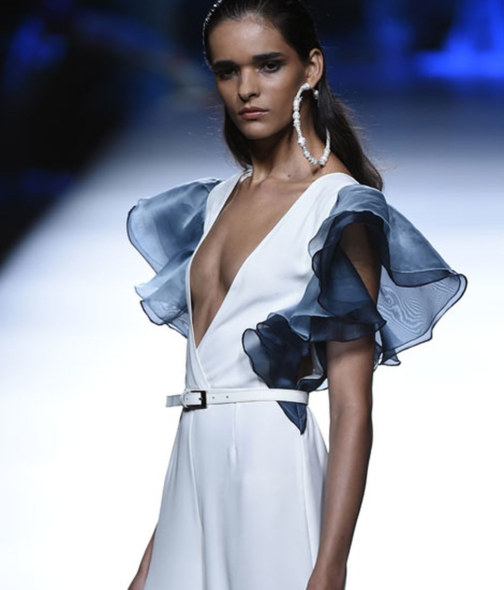 Corales, estrellas y esponjas de mar