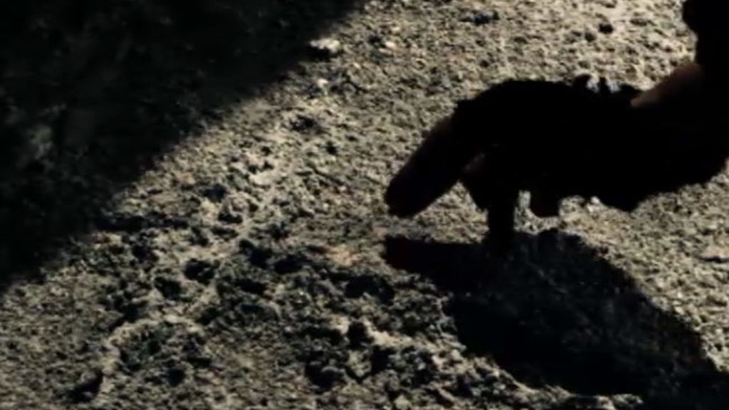 Adelanto del programa en imágenes