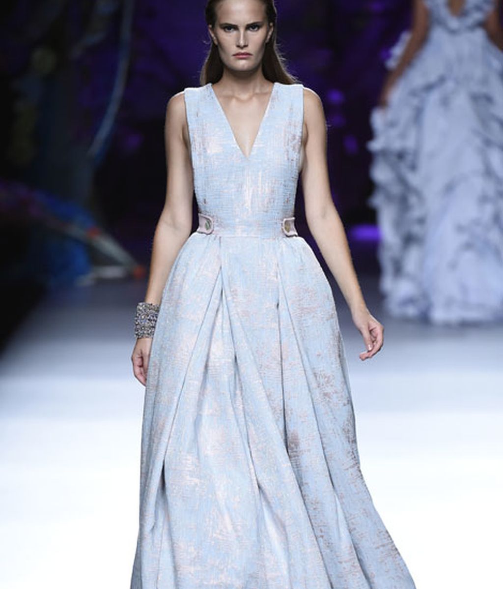 Corales, estrellas y esponjas de mar