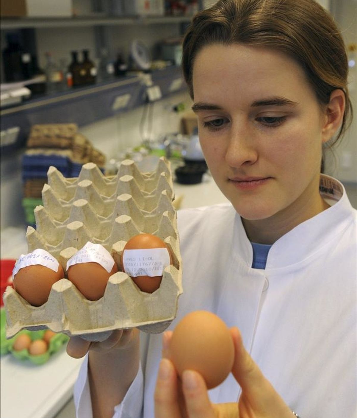La investigadora Ulrike Behringer comprueba un huevo contaminado con dioxina en un labotorio de protección del consumidor, en Oldenburgo, Alemania. EFE/Archivo