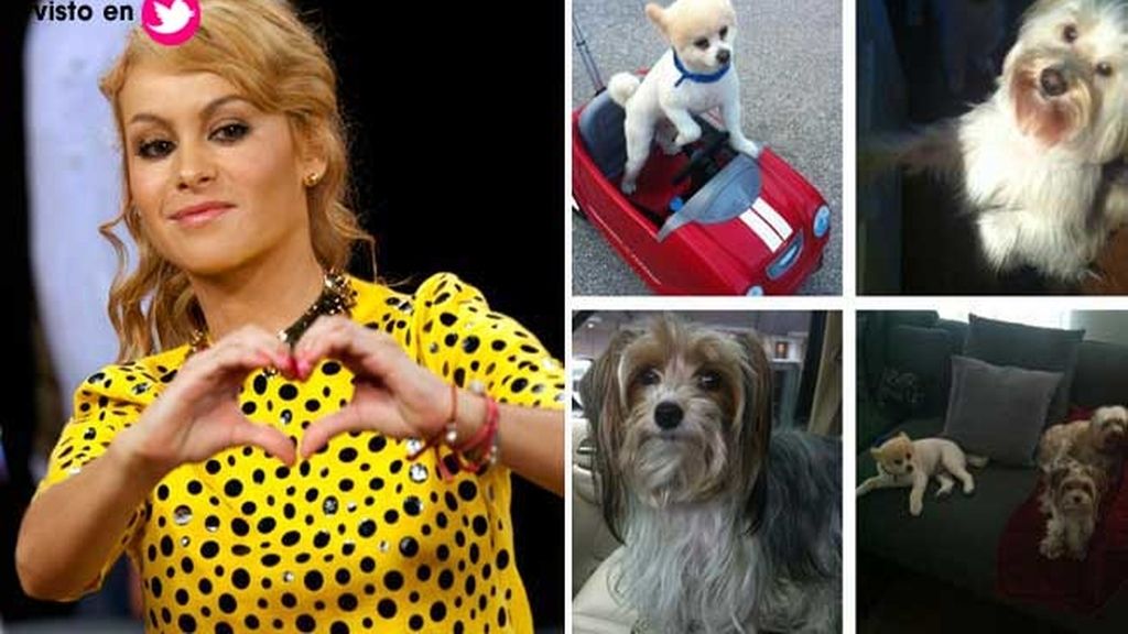 Paulina Rubio presume de sus "babies"
