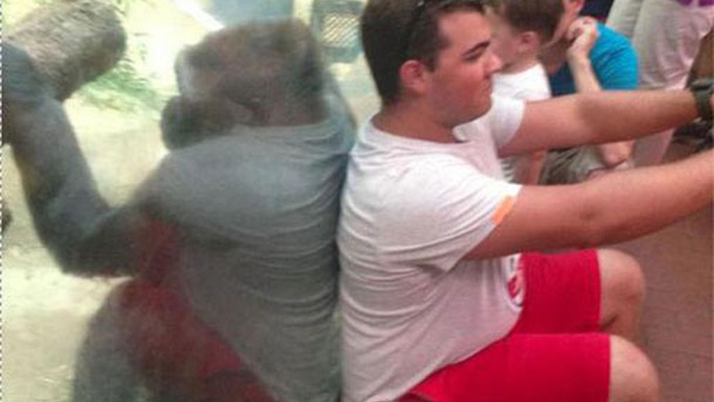 Miras y miras, pero nada es lo que parece