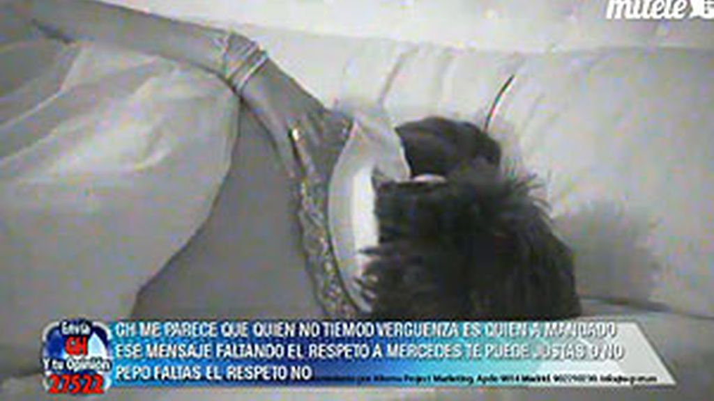 Tendrán que pasar toda la semana encadenados