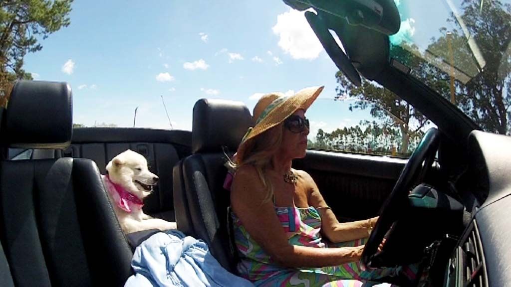 'Callejeros viajeros' en "Punta del Este"