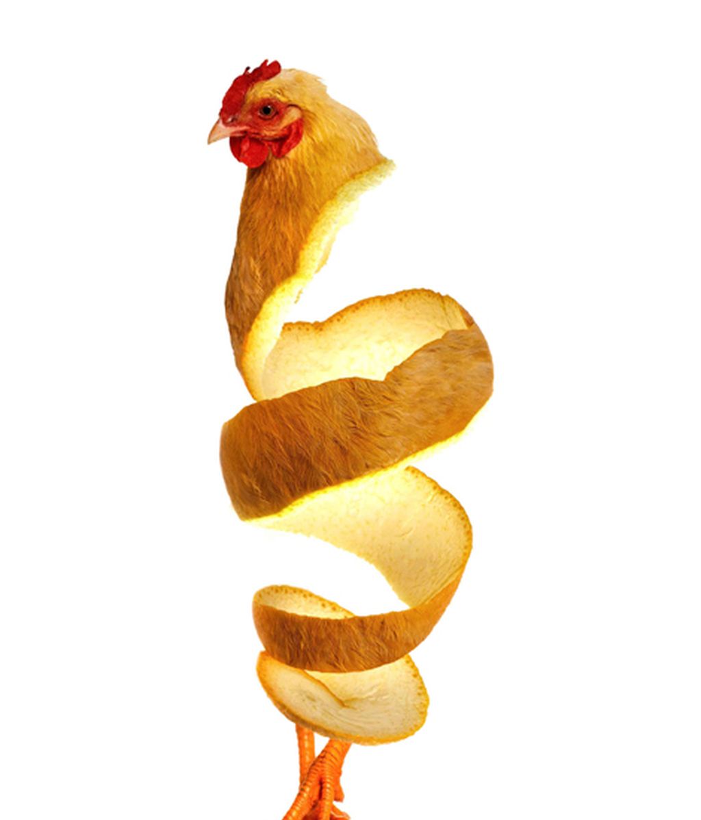 Animales convertidos en frutas y verduras