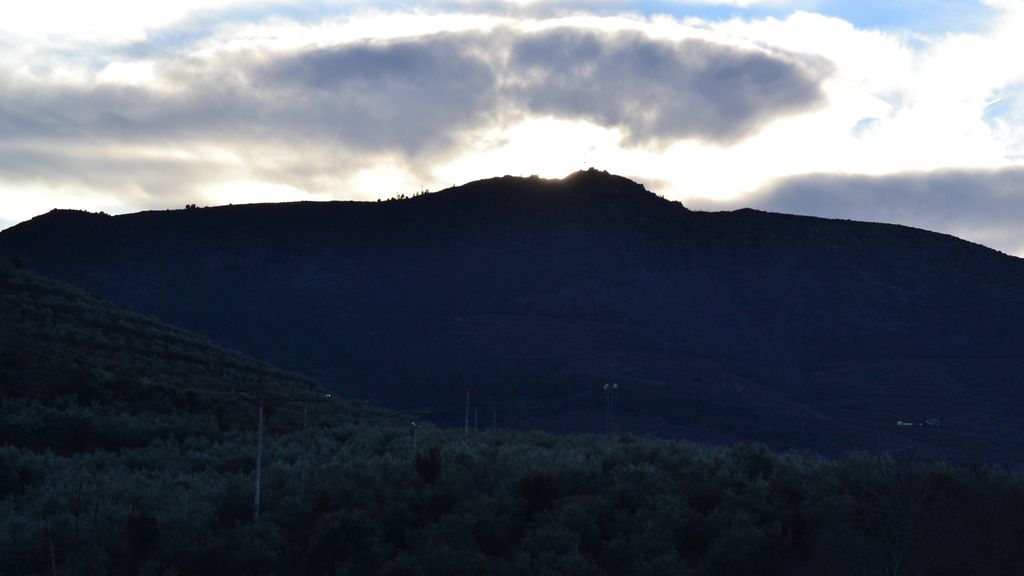 Concursantes Efecto ¡GUAU!... de tu vida